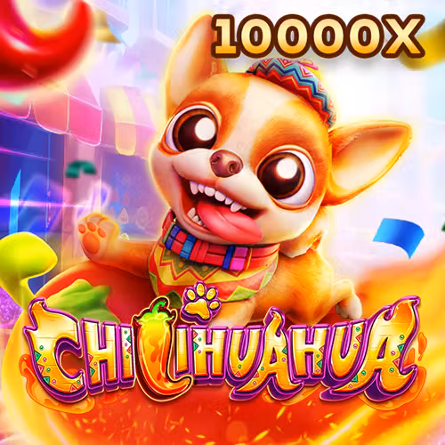 Fachai Chihuahua Portrait